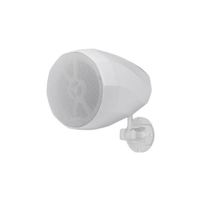Loa gắn tường công suất 30W màu trắng DSPPA DSP5153W