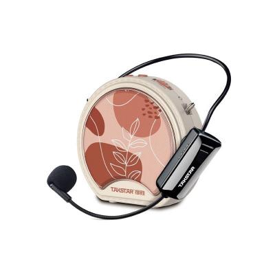 Máy trợ giảng sử dụng Micro không dây cài đầu Takstar E20W