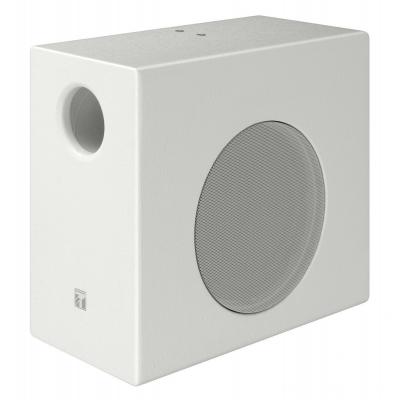 Loa siêu trầm 120W TOA FB-08WT