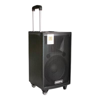 Loa kéo, loa di động công suất 250W Shupu AT-310