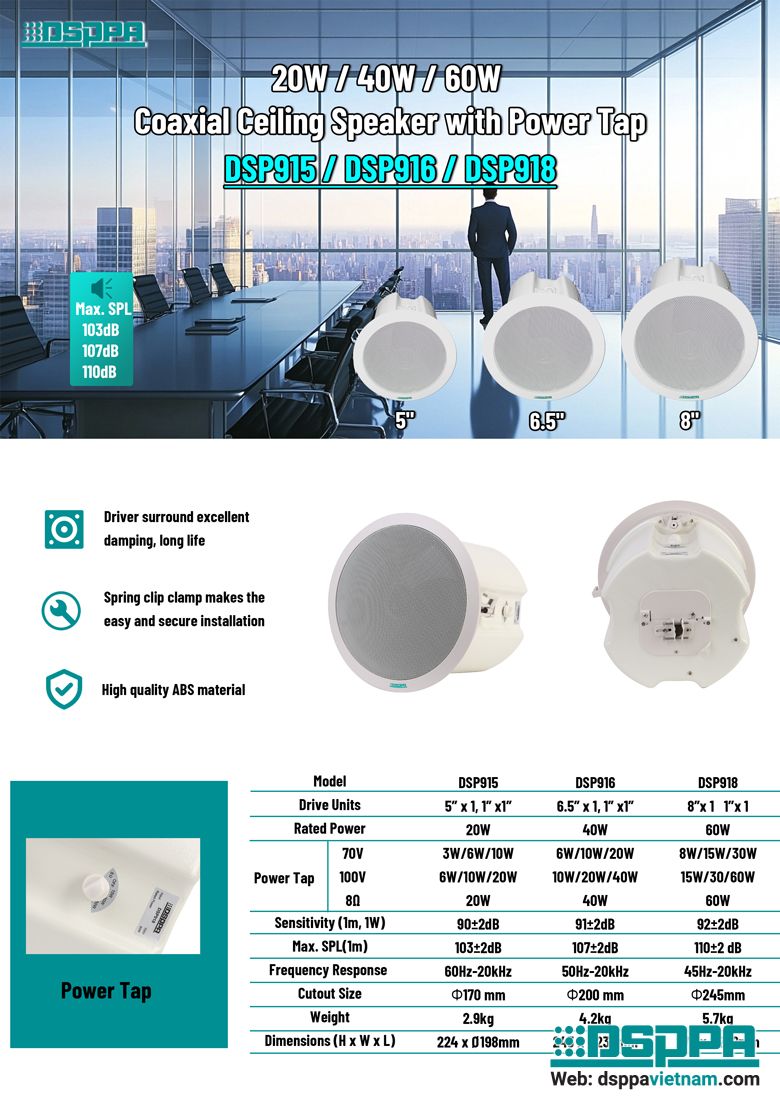 Loa âm trần hai đường tiếng.jpg