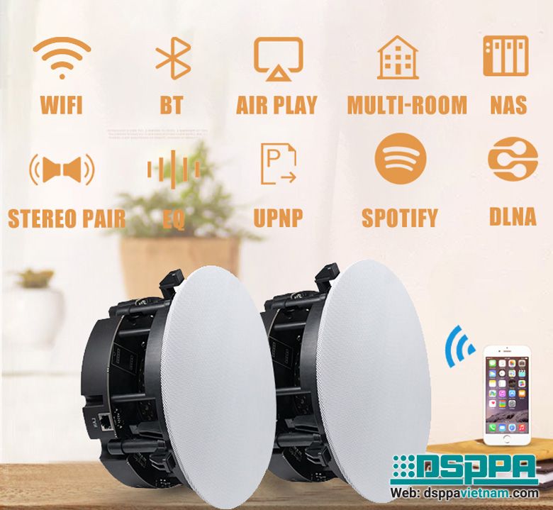 Loa không dây DW2235 dành cho âm thanh thương mại (Tương thích WiFi và BT).jpg