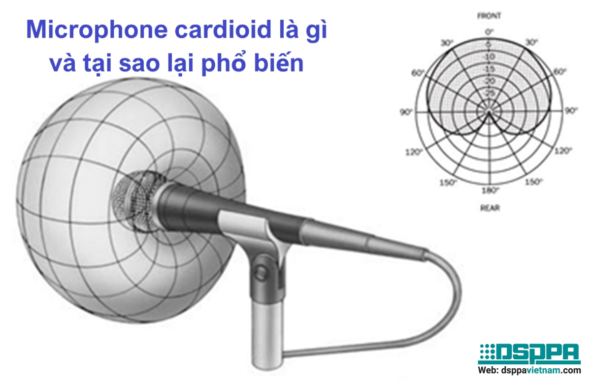 Microphone cardioid là gì và lý do tại sao lại phổ biến nhất?